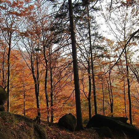 Bazalka Gasthof 3*