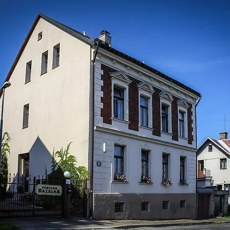 Casa de hóspedes Bazalka 3*